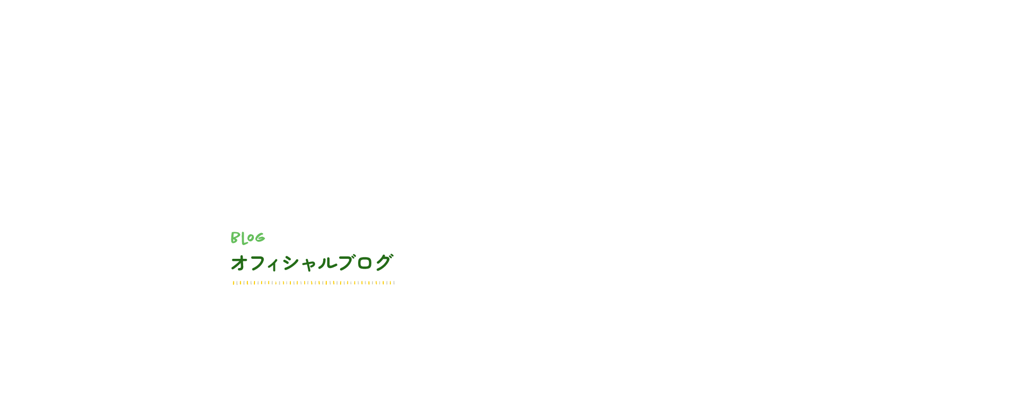 オフィシャルブログ